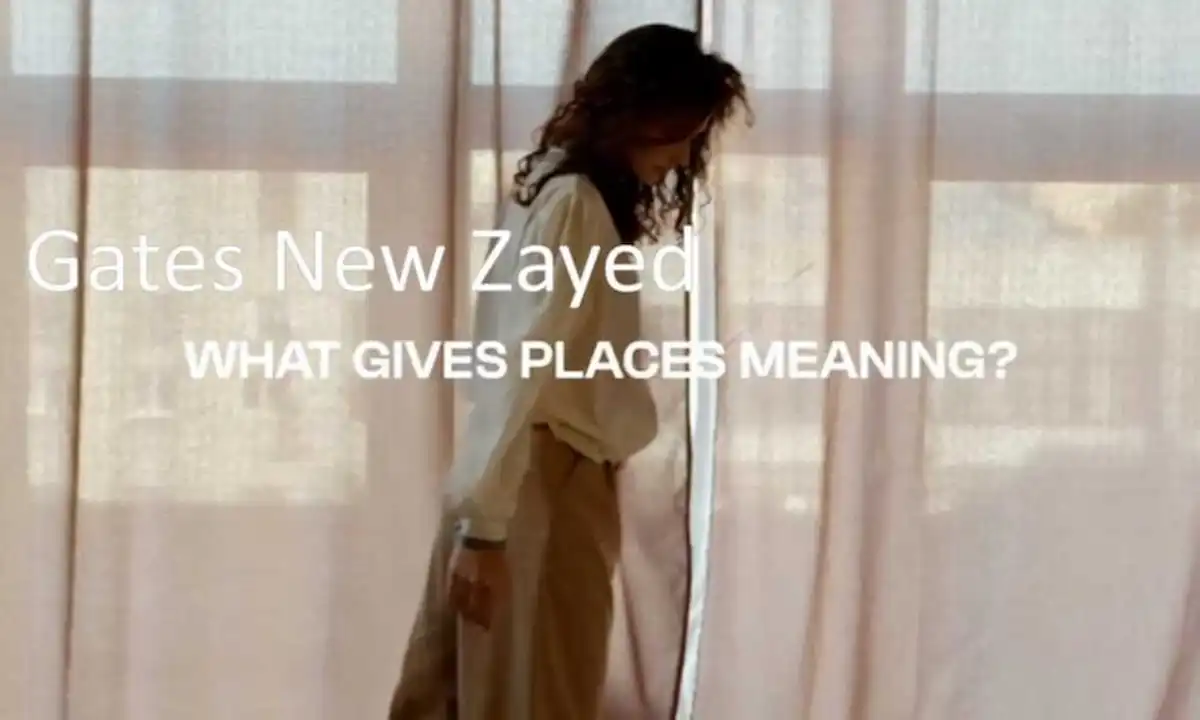 مشروع شركة جيتس في نيو زايد Gates Developments New Zayed