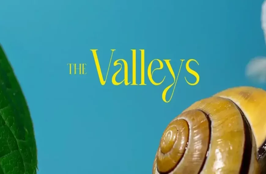 كمبوند ذا فاليز المستقبل سيتي Compound The Valleys Mostakbal City