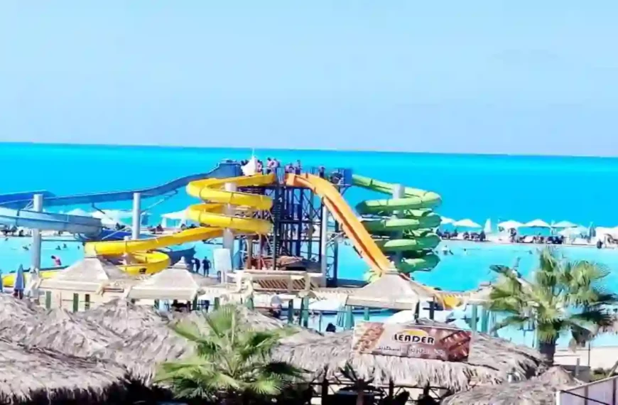 عيوب قرية اللوتس الساحل الشمالي